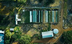 Burnside Organic Farm